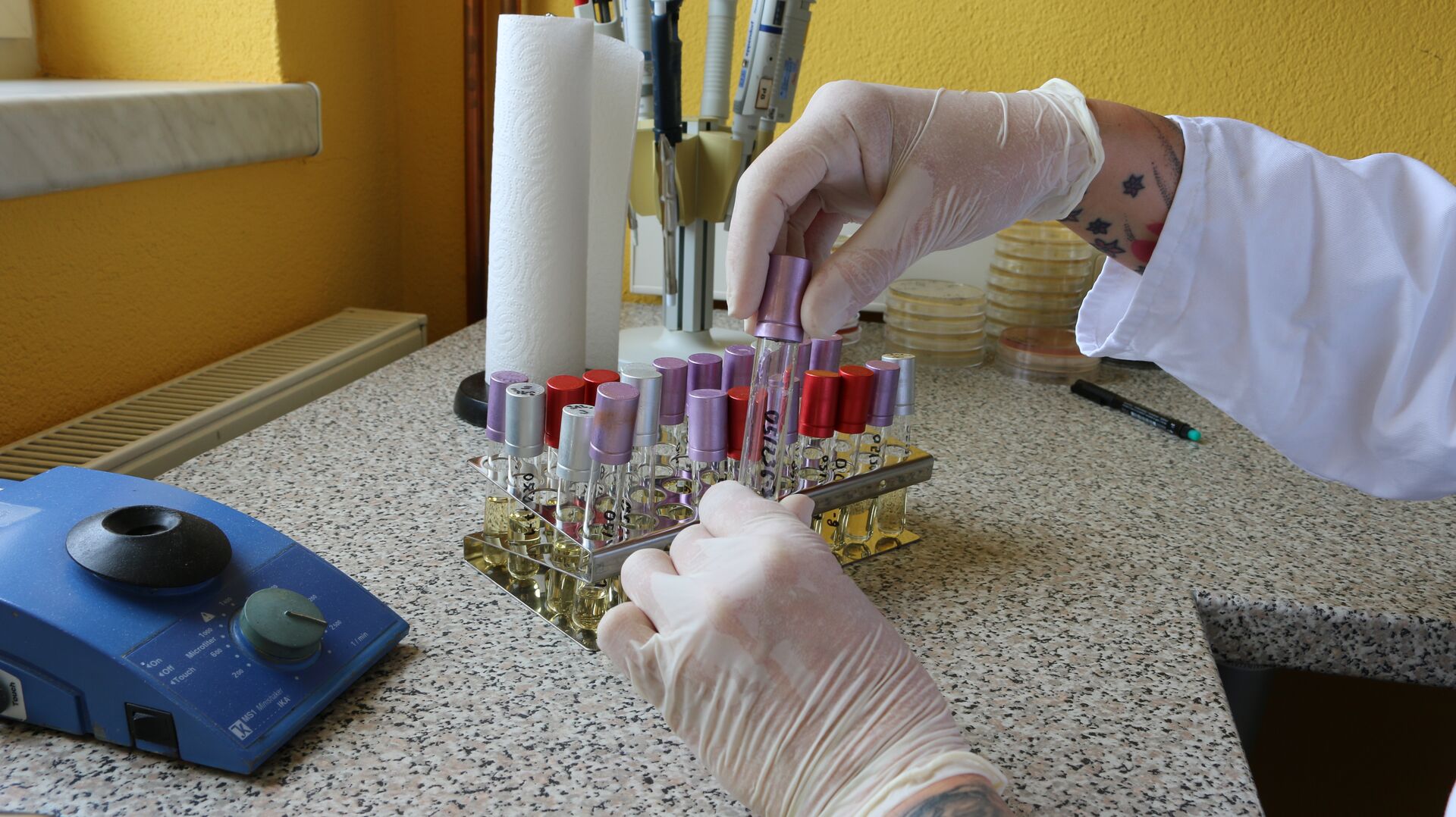 Dr. Catrin Kuchler - das Labor für Mikrobiologie und Hygiene in Hoyerswerda